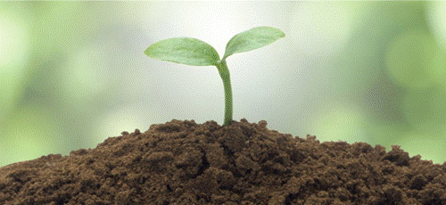 clip_image002.gif